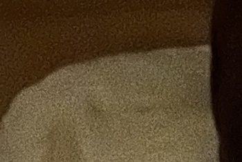 Nacktbilder Amateur nicki187